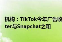 机构：TikTok今年广告收入或激增至逾110亿美元，超Twitter与Snapchat之和