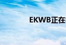 EKWB正在尝试专业水冷却