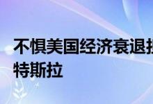 不惧美国经济衰退担忧，“木头姐”依然看好特斯拉