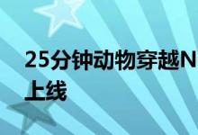 25分钟动物穿越Nintendo Direct将于明天上线