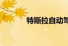 特斯拉自动驾驶正在设定侵略