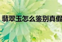 翡翠玉怎么鉴别真假（翡翠玉好坏怎么鉴别）