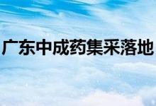 广东中成药集采落地，价格整体降幅较为温和
