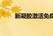 新凝胶激活免疫细胞持续攻击肿瘤