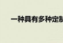 一种具有多种定制选项的高性能水冷器
