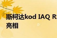 斯柯达kod IAQ RS alcantara内饰套装首次亮相