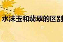 水沫玉和翡翠的区别（水沫玉和翡翠哪个好）