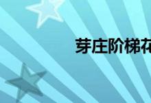 芽庄阶梯花园的顶层房间