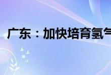 广东：加快培育氢气制储、加运等全产业链