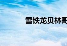 雪铁龙贝林哥销量达到20万辆