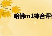哈佛m1综合评价Mini SUV的没落