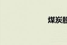 煤炭股继续大涨