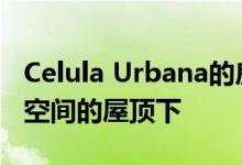 Celula Urbana的房子50 50庇护室内和室外空间的屋顶下