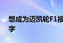 想成为迈凯轮F1接班人的人有一个愚蠢的名字