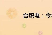 台积电：今年资本支出不变