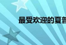 最受欢迎的夏普白色翻盖手机介绍