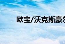 欧宝/沃克斯豪尔用电戏弄新陆丹蓝