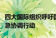 四大国际组织呼吁国际社会就粮食安全采取紧急协调行动