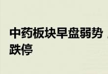 中药板块早盘弱势，以岭药业、大理药业触及跌停