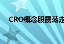 CRO概念股震荡走强，康龙化成涨近7%