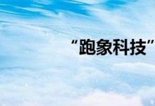 “跑象科技”获得天使+融资