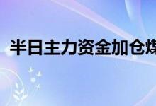 半日主力资金加仓煤炭股，抛售有色金属股