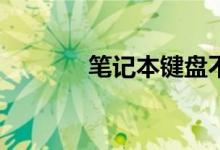 笔记本键盘不会打字怎么办？