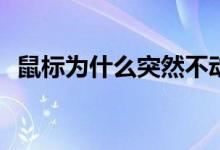 鼠标为什么突然不动了？有什么解决办法？