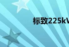 标致225kW插电式308 R