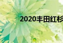 2020丰田红杉内部存储车道测试
