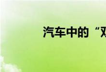 汽车中的“双”是什么意思？
