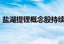 盐湖提锂概念股持续走低，盐湖股份跌近7%