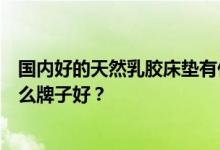 国内好的天然乳胶床垫有什么牌子？谁知道天然乳胶床垫什么牌子好？