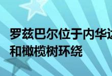 罗兹巴尔位于内华达山脉的游泳池房子被石墙和橄榄树环绕