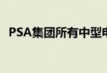 PSA集团所有中型电动卡车(商用和乘用车)