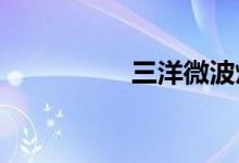 三洋微波炉说明书解读