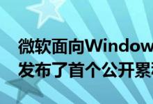 微软面向Windows 10 May 2020功能更新发布了首个公开累积更新