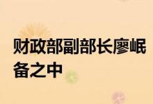 财政部副部长廖岷：更多政策组合在研究和储备之中