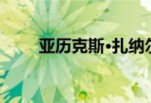 亚历克斯·扎纳尔迪在事故中受重伤