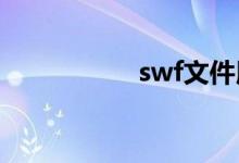 swf文件用什么打开？