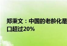 郑秉文：中国的老龄化是非常快的，预计到2035年65岁人口超过20%