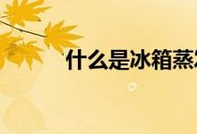 什么是冰箱蒸发器 有什么用途？