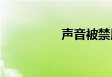 声音被禁用的解决办法