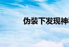 伪装下发现神秘起亚电动车原型