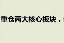 重仓两大核心板块，部分基金逆势创历史新高