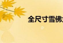 全尺寸雪佛兰西装外套渲染