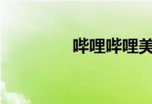 哔哩哔哩美股盘前跌4.6%