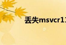 丢失msvcr110.dll的解决方法