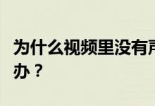 为什么视频里没有声音？视频里没有声音怎么办？