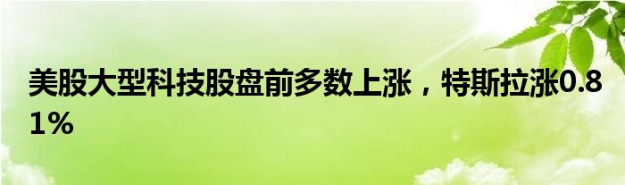  美股大型科技股盤前多數上漲，特斯拉漲0.81% 